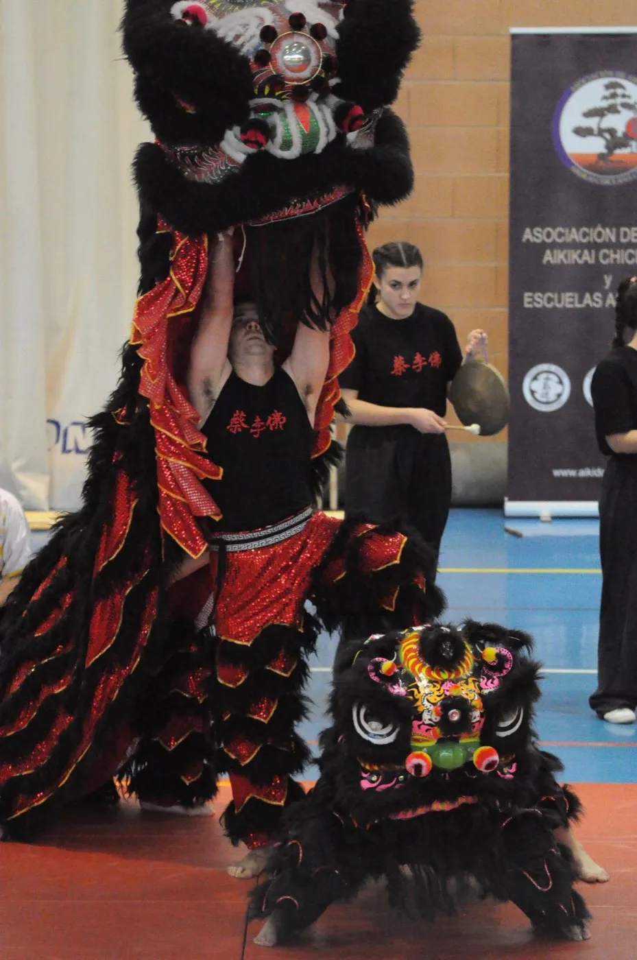 Kung Fu Infantil Kung Fu Infantil